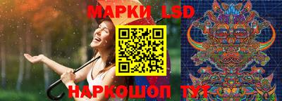 сатива Краснодар