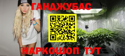сатива Краснодар